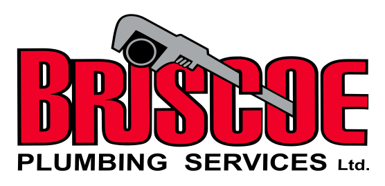 Briscoe Plumbing Services